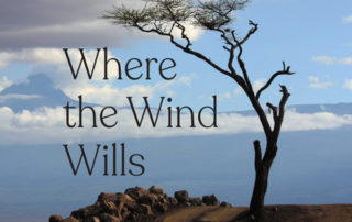 Where the Wind Wills