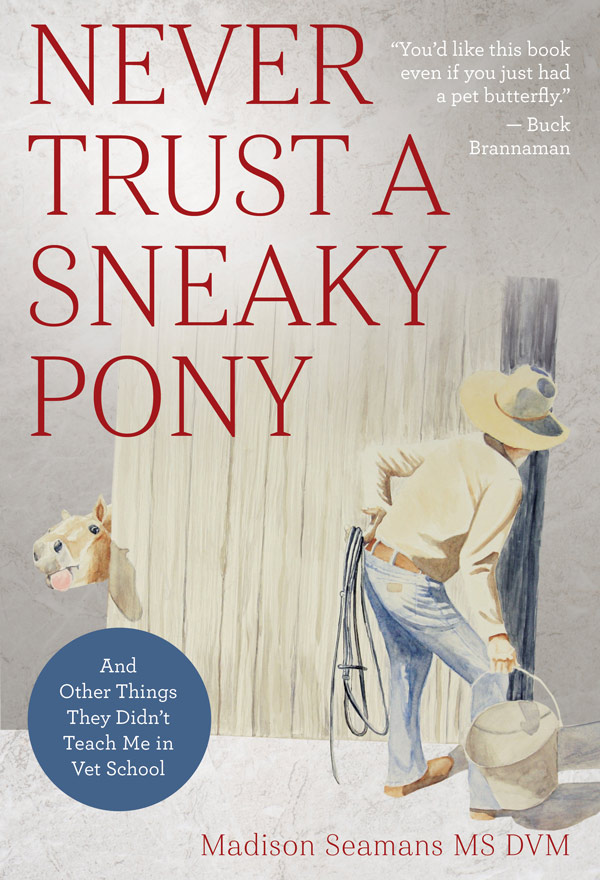 Never-Trust-a-Sneaky-Pony-Madison-Seamans