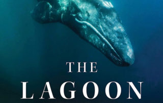 The-Lagoon