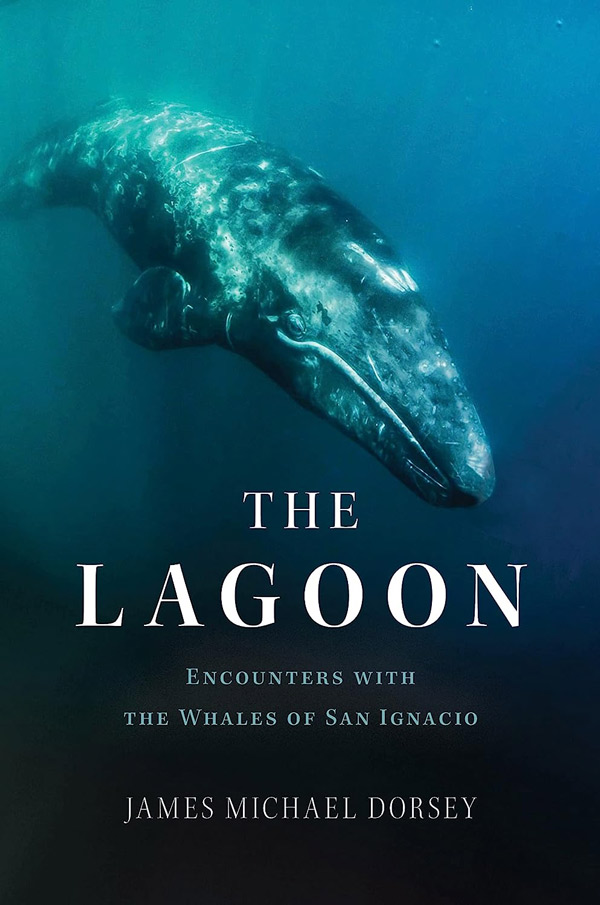 The-Lagoon