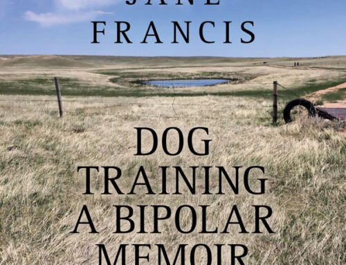 Dog Training: A Bipolar Memoir